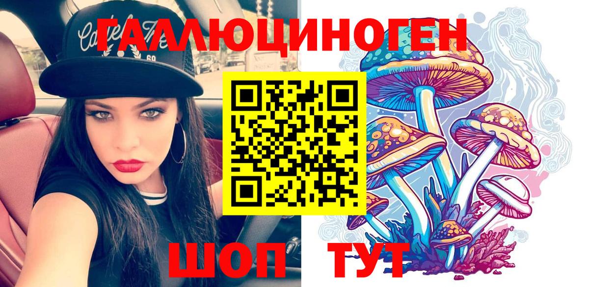 Междуреченск  Псилоцибиновые грибы Psilocybe  Вход с VPN 